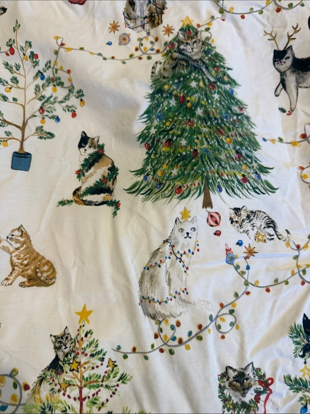 Pottery Barn Cotton Queen Sheet Set Print Holiday Flat fitted 2 Pillowcases